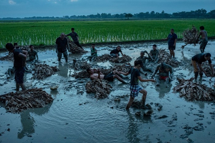 Ritual unik digelar warga Filipina dengan membenamkan diri ke dalam lumpur sambil mengenakan baju dari daun pisang. Penasaran?