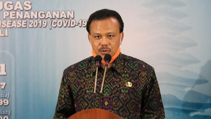 Sekretaris Daerah (Sekda) Bali, Dewa Made Indra (dok. Istimewa)
