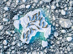 Karya Jawara Kontes Foto Alam Pukau Mata