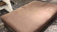 Sofa yang biasa digunakan untuk duduk para pelangganpun terlihat penuh bercak jamur di permukaannya. Istimewa/Dok. Twitter/@IqbalSheikhAli.  