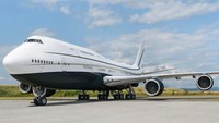 Ini adalah Boeing Business Jet 747-8i, jet pribadi terbesar yang beroperasi aktif di seluruh dunia. Istimewa/Dok. Boredpanda/albertopinto.