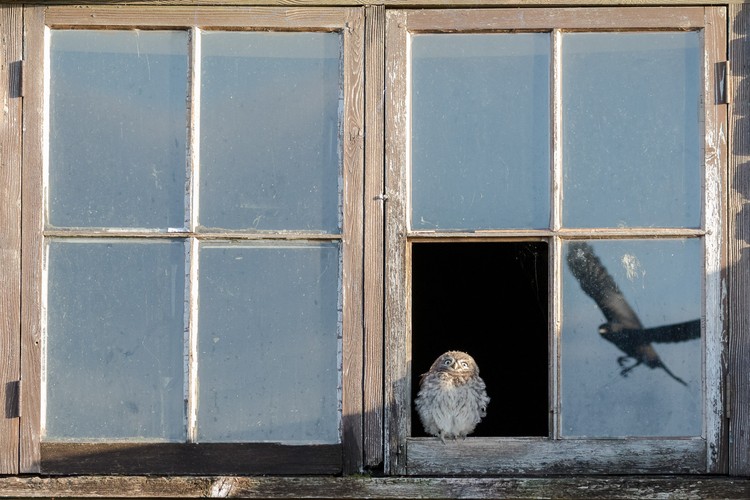 Konten foto Nature TTL 2020