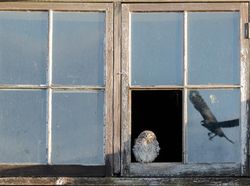 Karya Jawara Kontes Foto Alam Pukau Mata