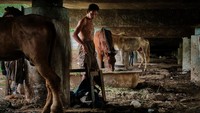 .Menurut pengakuannya semenjak munculnya Corona  membuat situasi sangat drastis berubah. sehingga tidak bisa menarik delman. Ed Wray/Getty Images