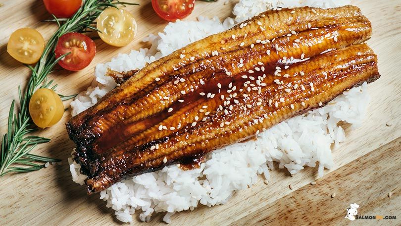 SalmonHu.com