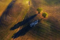 Konten foto Nature TTL 2020