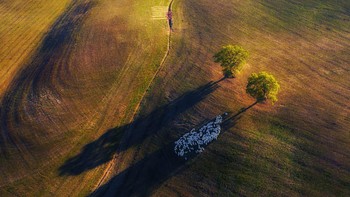 Jawara di kategori Landscape karya Marek Biegalski. Lokasi Italia menggunakan DJI Mavic Pro 2. Foto: naturettl.com
