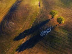 Karya Jawara Kontes Foto Alam Pukau Mata