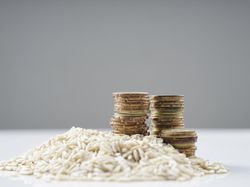 Zakat Fitrah Beras atau Uang, Mana yang Lebih Afdal?