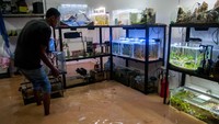 Warga mulai menyelamatkan barang-barangnya yang terendam banjir di Desa Kaduagung Tengah, Lebak, Banten.