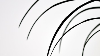 Jawara di kategori Macro karya Minghui Yuan. Lokasi di China menggunakan  Nikon D7000, Tamron 180mm f/3.5 macro lens. Foto: naturettl.com