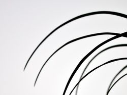 Karya Jawara Kontes Foto Alam Pukau Mata