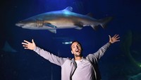 Hiu, sang raja laut ini mampu berpuasa hingga 2 tahun. Vince Caligiuri/Getty Images.