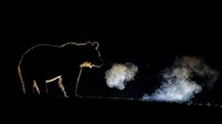 Konten foto Nature TTL 2020