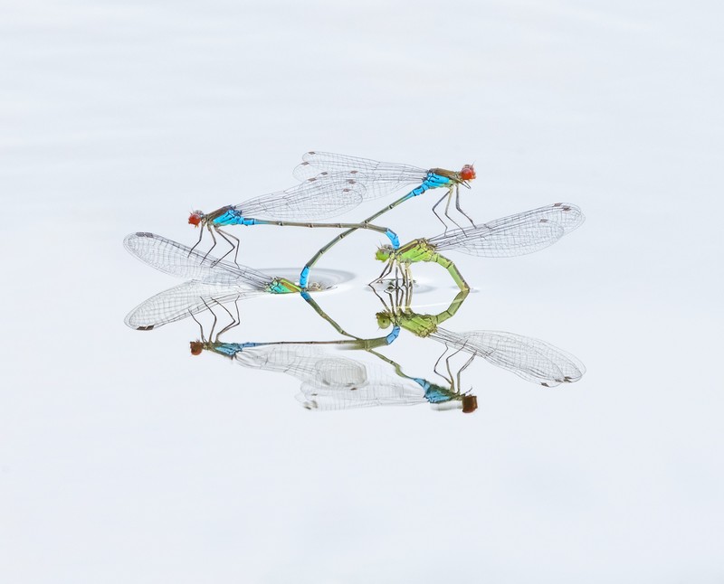 Konten foto Nature TTL 2020