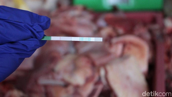 Petugas lakukan rapid test terhadap sampel daging