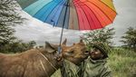 Deretan Foto Natural World Photography Terbaik 2020 (2)