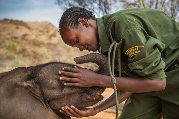 Masih jepretan Ami Vitale, dia mengabadikan ikatan gadis Samburu dengan seekor anak gajah di Reteti Elephant Sanctuary. (bigpicturecompetition.org) Masih jepretan Ami Vitale, dia mengabadikan ikatan gadis Samburu dengan seekor anak gajah di Reteti Elephant Sanctuary. (bigpicturecompetition.org)