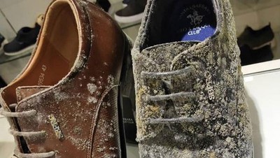 Duh! Toko Tutup Akibat Corona, Barang Branded Dipenuhi Jamur