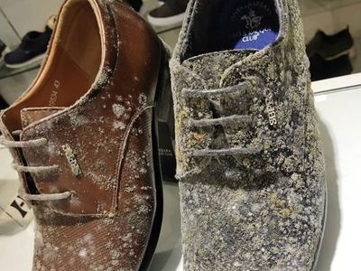 Duh! Toko Tutup Akibat Corona, Barang Branded Dipenuhi Jamur