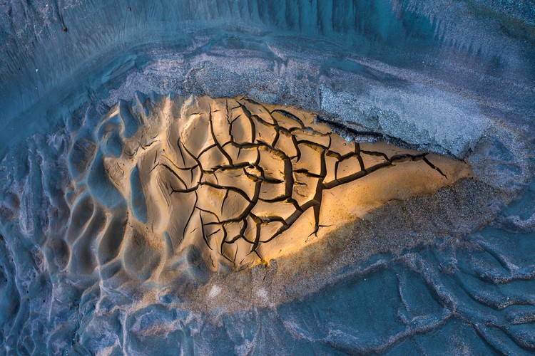 BigPicture Natural World Photography 2020