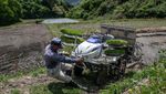 Petani Jepang Memasuki Musim Tanam