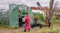 Lahan sayuran dengan konsep urban farming tersebut dipersiapkan sejak April lalu untuk membantu suplai makanan pada masa pandemi COVID-19. Tindakan bercocok tanam mandiri  tersebut sebagai antisipasi ekonomi nasional yang melambat gara-gara lockdown.