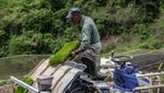 Petani Jepang Memasuki Musim Tanam