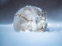 Jujur! Karya Jawara Kontes Foto Alam Ini Bikin Mata Takjub