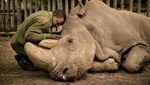 Deretan Foto Natural World Photography Terbaik 2020