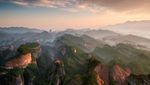 Deretan Foto Natural World Photography Terbaik 2020 (2)