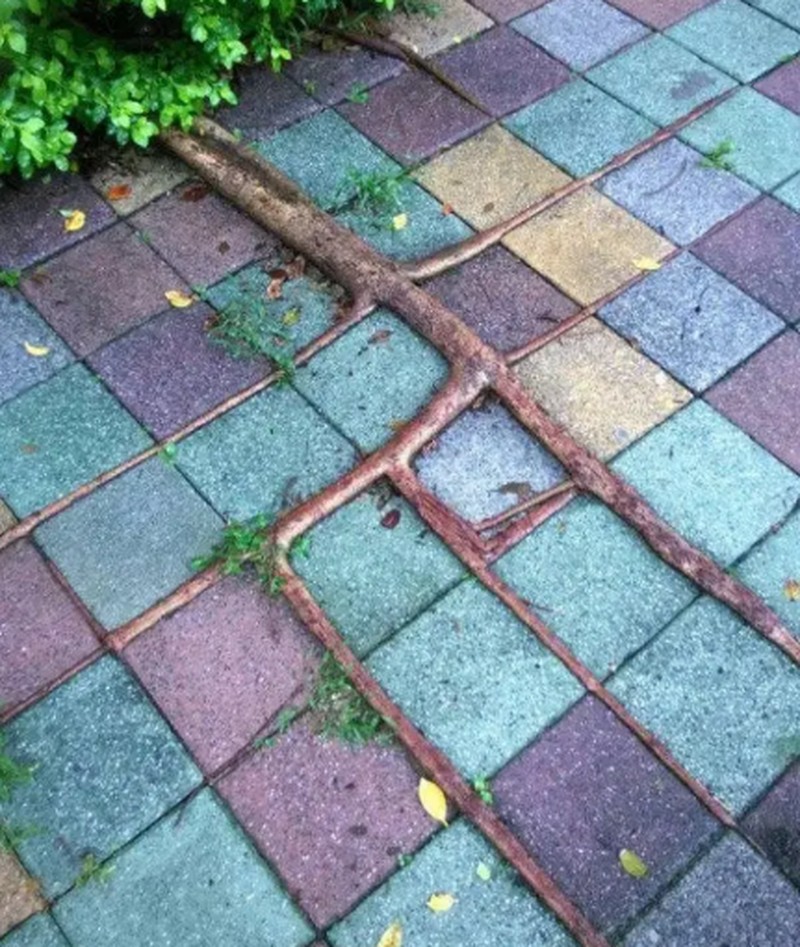 Gambar yang Super Satisfying Biar Harimu Nggak Garing.