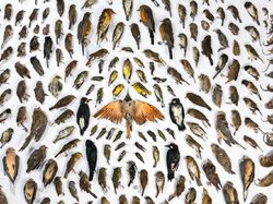 Jujur! Karya Jawara Kontes Foto Alam Ini Bikin Mata Takjub