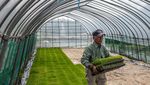 Petani Jepang Memasuki Musim Tanam