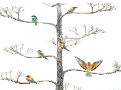 Jujur! Karya Jawara Kontes Foto Alam Ini Bikin Mata Takjub