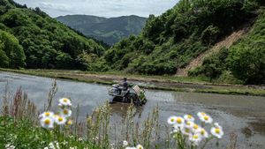 Petani Jepang Memasuki Musim Tanam