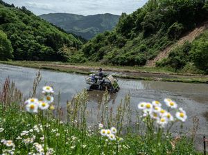 Petani Jepang Memasuki Musim Tanam