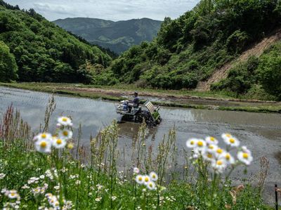 Petani Jepang Memasuki Musim Tanam