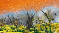 Judul foto ini adalah Lake Of Colors oleh Jes Stockhausen. Paduan warna alam yang indah bukan? (bigpicturecompetition.org)