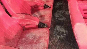 Bangku-bangku penonton serta lantai dipenuhi dengan jamur. Foto: Nex Nezeum via Bored Panda