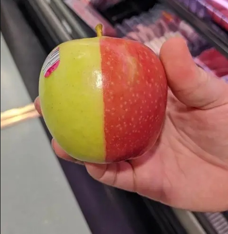 Gambar yang Super Satisfying Biar Harimu Nggak Garing.