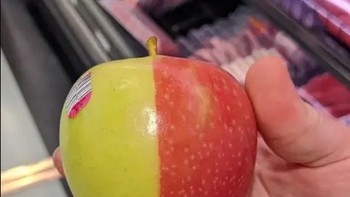 Apel ini memiliki dua warna yang terpisah dengan sempurna. Foto: puddles_smit / Via reddit.com