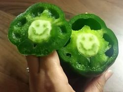 Foto yang Jadi Bukti Keseimbangan Alam