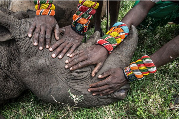 Hati siapa yang tidak akan tersentuh oleh foto Ami Vitale yang berjudul Guardian Warriors ini? (bigpicturecompetition.org) Hati siapa yang tidak akan tersentuh oleh foto Ami Vitale yang berjudul Guardian Warriors ini? (bigpicturecompetition.org)