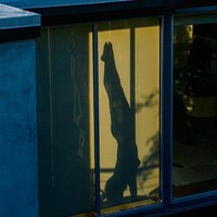 Inilah momen lain yang ditangkap Caroline. Tampak siluet seorang wanita yang tengah melakukan yoga.  Foto: dok. Caroline White Photography