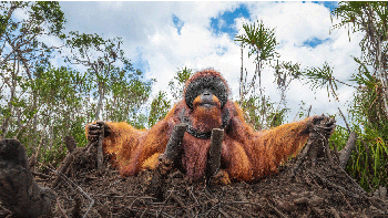 Finalis kategori Human/Nature Thomas Vijayan dari Kanada. Foto: BigPicture Natural World Photography