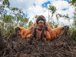 Jujur! Karya Jawara Kontes Foto Alam Ini Bikin Mata Takjub