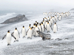 Jujur! Karya Jawara Kontes Foto Alam Ini Bikin Mata Takjub