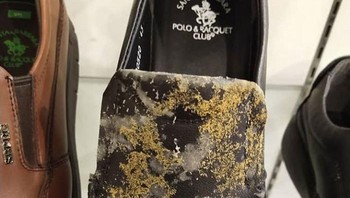 Adanya jamur ini tentunya membuat barang rusak. Foto: Nex Nezeum via Bored Panda