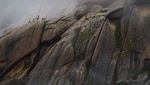 Deretan Foto Natural World Photography Terbaik 2020 (3)